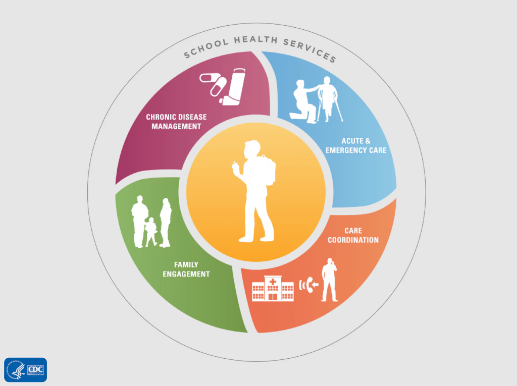 wheel showing school health services including chronic disease management, acute and emergency care, family engagement and care coordination
